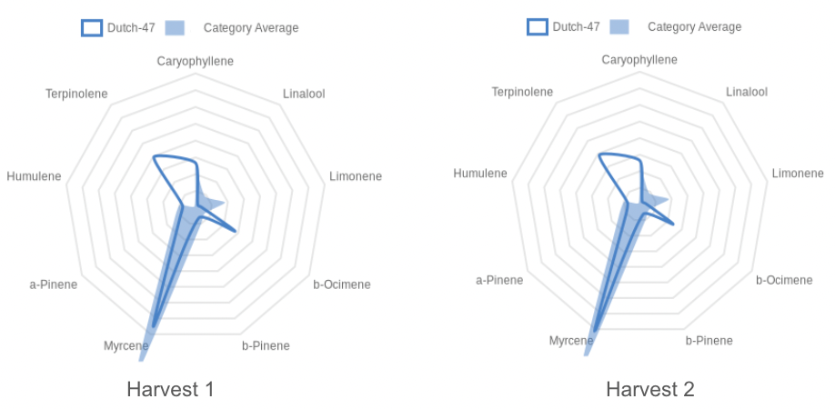 SDP%20Compass%20Compare_3_12-28-23